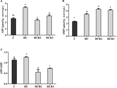 Benfotiamine, a Lipid-Soluble Analog of Vitamin B1, Improves the Mitochondrial Biogenesis and Function in Blunt Snout Bream (Megalobrama amblycephala) Fed High-Carbohydrate Diets by Promoting the AMPK/PGC-1β/NRF-1 Axis